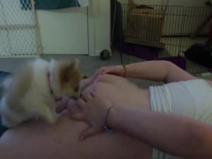 Dog Sex Video: An Intense Experience