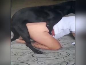 carioca baise chien favela