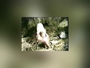 perro folla durante el entrenamiento