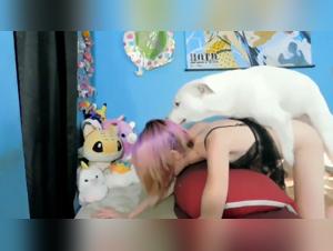 intimer hund moment mit ticzoo