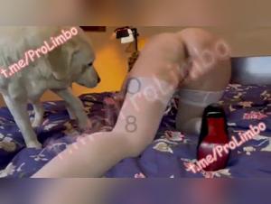 Yasmin, Hund zerfetzt die Hure