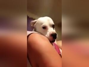 A Bestial Experience: Selfie with My Dog