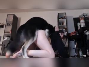 exploring the boundaries of zoophilia: dog sex with girl