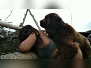 Bestiality sex video: submissive female dog gets fucked by her dog