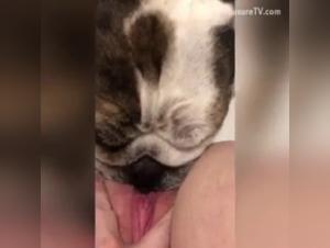 Bestial and Exciting Encounter: A Woman and Her Four-Legged Companion