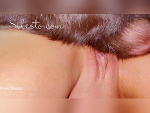 Veronica Silesto and her dog at the Neon Party - Bestiality and zoophilia sex videos