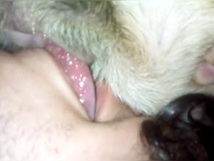 Salope léche la chatte de son chien 💦 Extreme