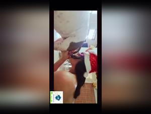 Alisson and his beastly companion