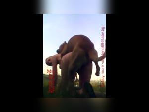 Femme blonde et chien : une vidéo de sexe bestialité hard