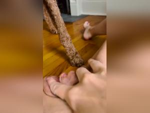 gardienne fougueuse, baise chien live