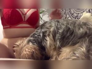 Adorable Teen and His Four-Legged Best Friend: Intense Bestiality Scene