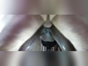 Cheating wife fucks with dog