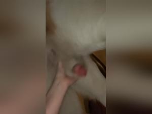 animal porno zoofiles