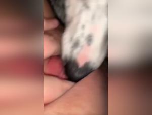 Sex video with dog: Dog licks the intimacy of a young woman 2