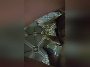 Zoophilia video with Ryder