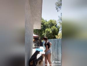 Bestiality Sex Videos - Horny Dogs