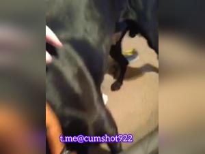 Licking Salope Chien - Xxx