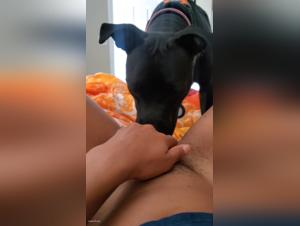 Forbidden Desires in the Animal Kingdom