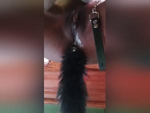 extreme zoophilia videos