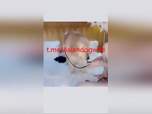 chinese beauty, raw dog sex ecstasy