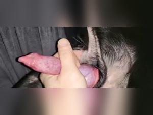 Bestial encounter: a woman and a dog in a shocking video