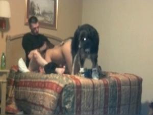 Ein sexy Paar will mit ihrem Hund ficken