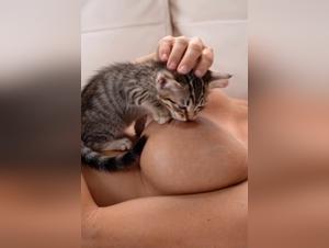 Gatito amamanta y se da en sexo desnudo