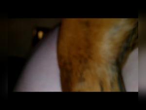 Bestial encounter: woman and dog