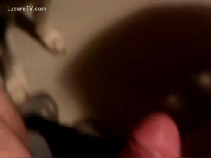 My Expert Language: An Extreme and Naughty Story of Zoophilia