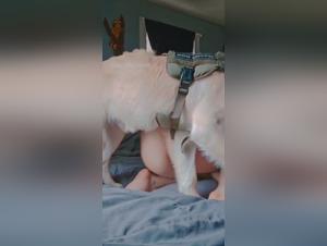 animalistic desires and intimate fantasies