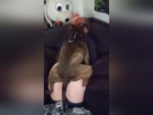 Bestiality Sex Video with a Dog