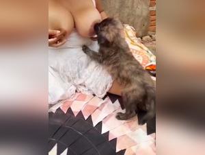 Taboo Animal Encounters