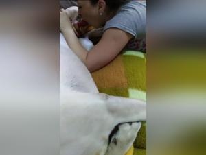 Crossing the Line: Animal Abuse