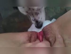 Hairy woman and dog in bestiality video