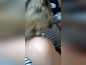 Intimate moments with a dog