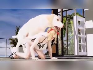 Horse Sex Frenzy: A Sl*t's Unbridled Passion with Her Stallion