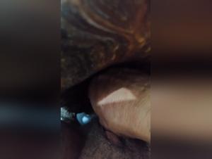 Asian cougar sex with dog and turtle in luxury