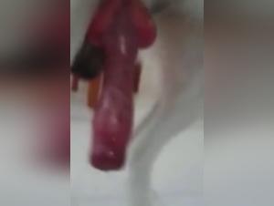 Mature woman and dog: a beastly encounter on video