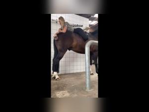 Passionate horsewoman and her horse in shocking bestiality video