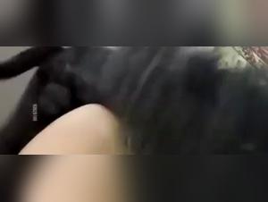 Blonde Milf Rabid Dog Sex Frenzy