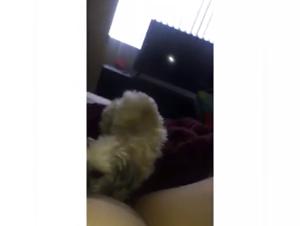 Zoophilia videos: submissive women getting fucked by dogs