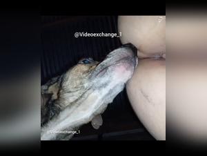 Hund vergewaltigt seine Besitzerin