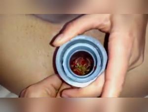 Bestiality: a woman and her dog in a forbidden relationship