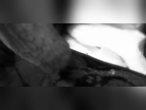 Mon Chien Privé : Vidéo Explosivante