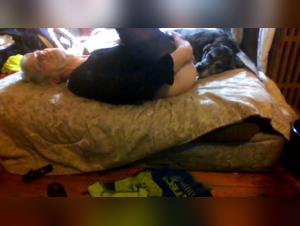 girl sucking dog dick