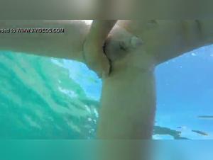 Bestiality in a swimming pool: A female dog and a dog in a hard video