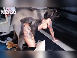 Primal Instincts Unleashed: Myzoowife's Intense Encounters