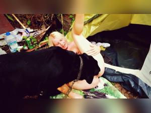 Exploring Quadruped Training: Boundaries & Practices