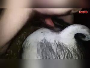 Bestiality Sex Videos: Check out hardcore animal sex scenes