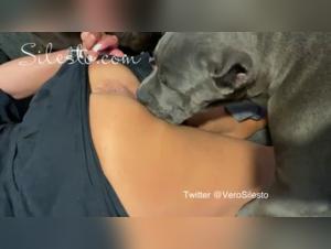 Veronica's First Lesson: Dog Fucking with Cane Corso Zeus
